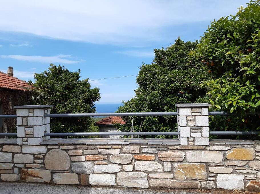 Kouros Villa! Paltsi Pilion Екстериор снимка