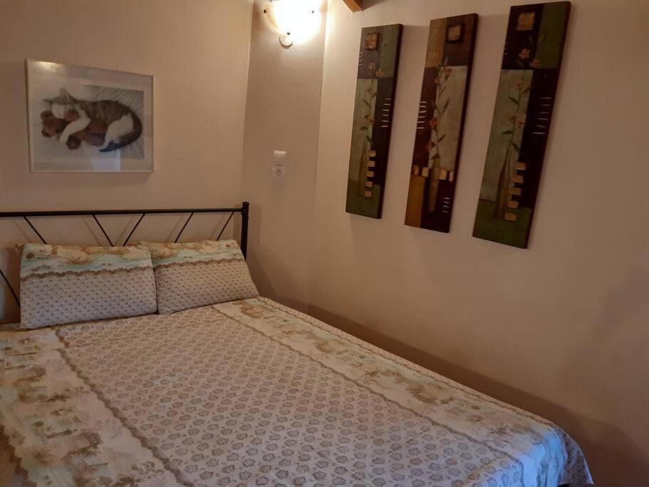 Kouros Villa! Paltsi Pilion Екстериор снимка