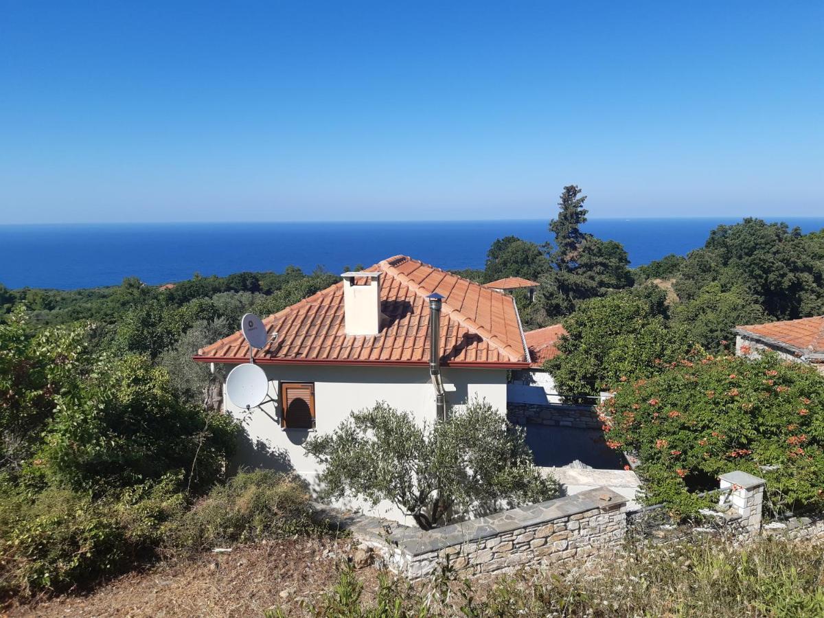 Kouros Villa! Paltsi Pilion Екстериор снимка