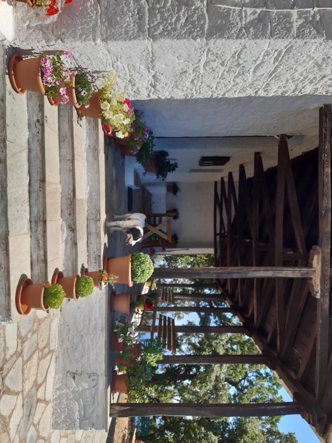 Kouros Villa! Paltsi Pilion Екстериор снимка
