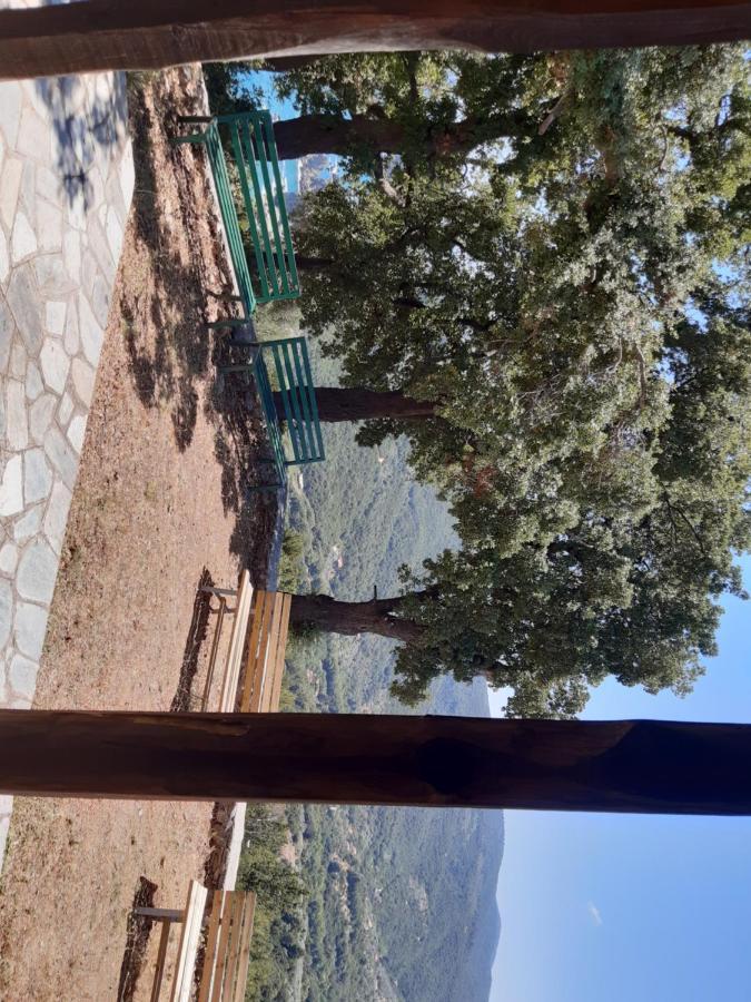 Kouros Villa! Paltsi Pilion Екстериор снимка